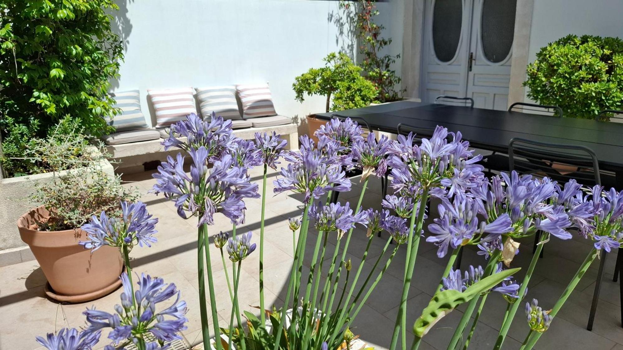Villa Mira With A Heated Pool And A Sea View Bozava Exterior photo